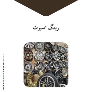 عوامل مؤثر در انتخاب رینگ اسپرت